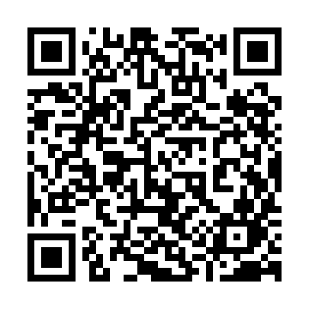 QR code for 919QIN
