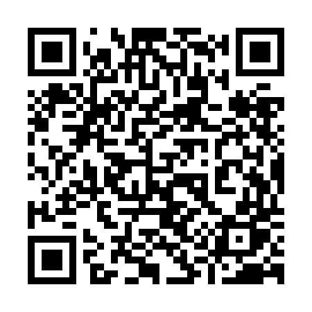 QR code for 919ZDP