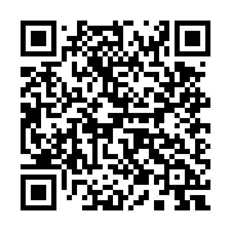 QR code for 950DXD