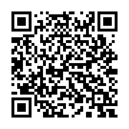 QR code for 950SQT