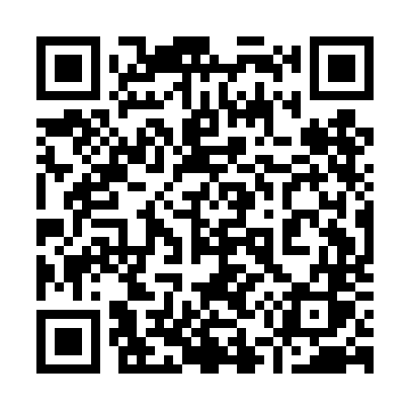 QR code for 951DNS