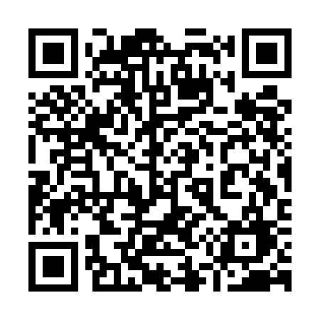 QR code for 953ECG