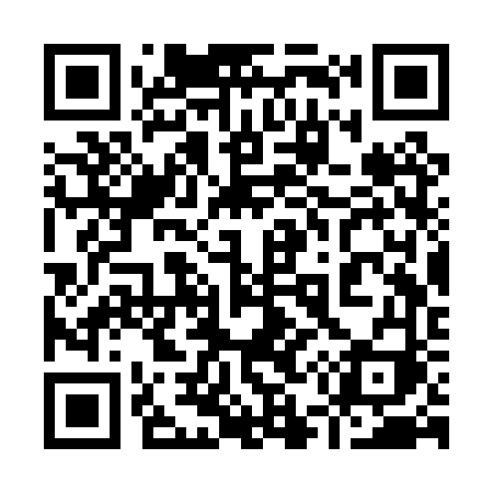 QR code for 953PVI