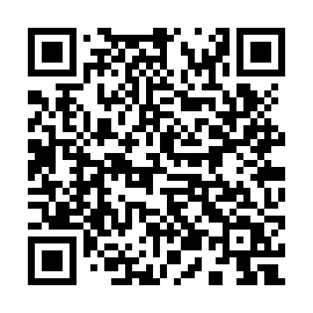 QR code for 953ZZT