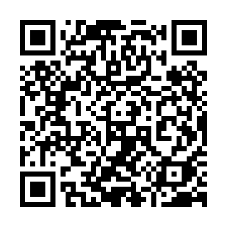 QR code for 955PQI