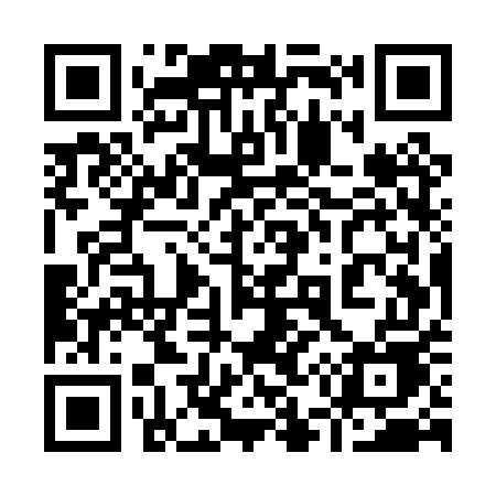 QR code for 955PUE