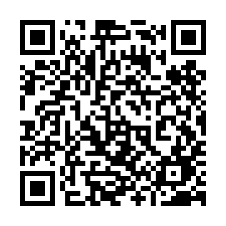 QR code for 963DID