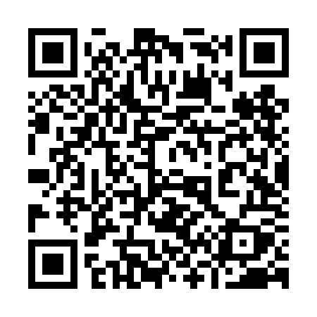 QR code for 966TOY