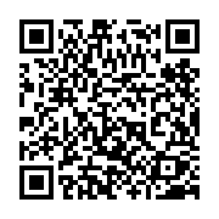 QR code for 969TOY