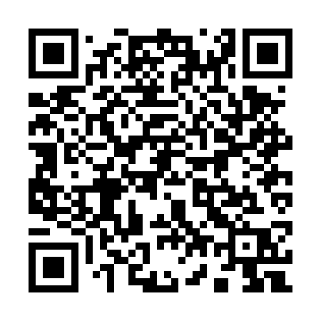 QR code for 972DSP