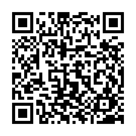 QR code for 991ICN