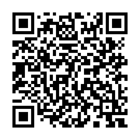 QR code for 991JIZ