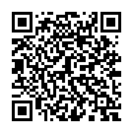 QR code for 991RID
