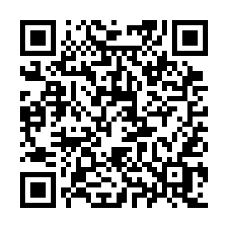 QR code for 991SEF