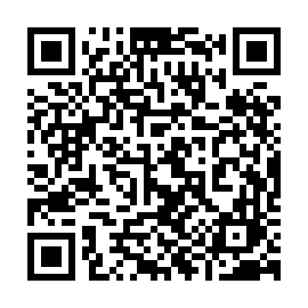 QR code for 991XFL