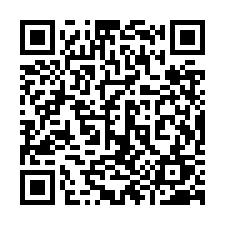 QR code for 991ZST