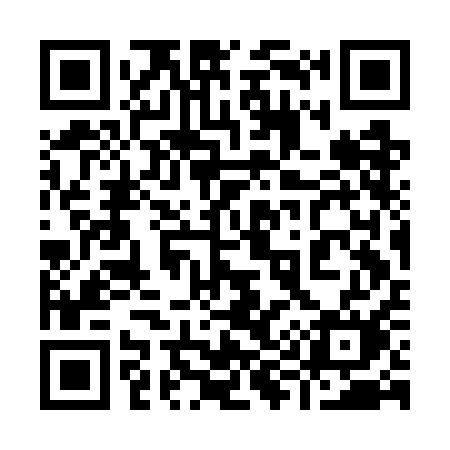 QR code for 993GAM