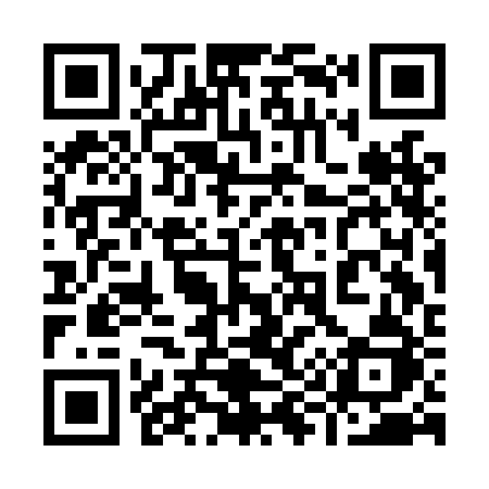 QR code for 993LBJ