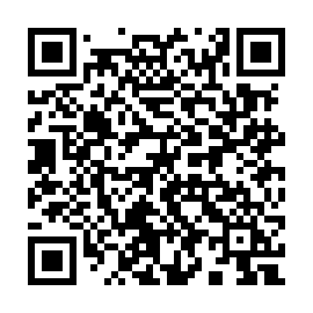 QR code for 993MFI