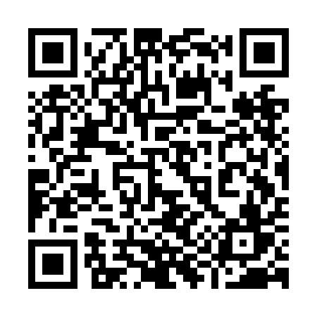 QR code for 993NAV