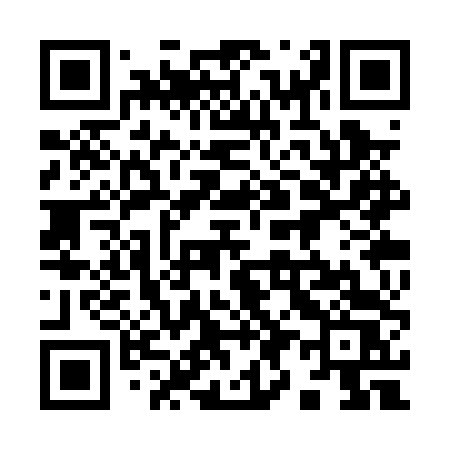 QR code for 993PTS