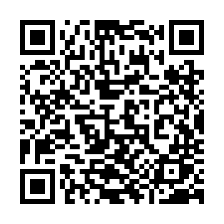 QR code for 993SNP