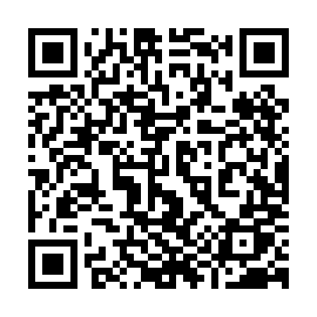 QR code for 994PMP