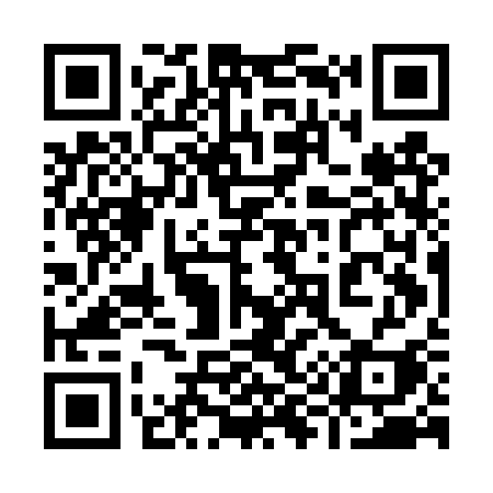 QR code for 995DSI