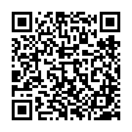 QR code for 996FLL