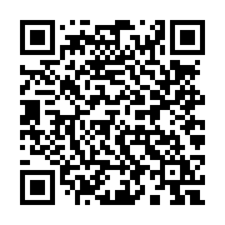 QR code for 996LSY