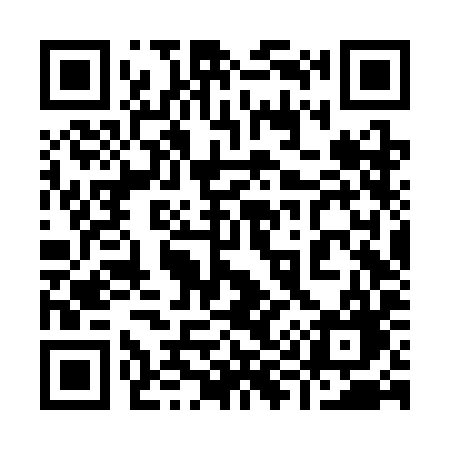 QR code for 996SIG