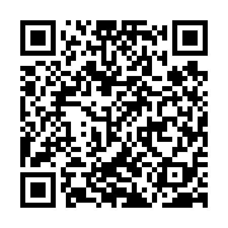 QR code for AEE619
