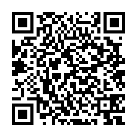 QR code for AKB0383