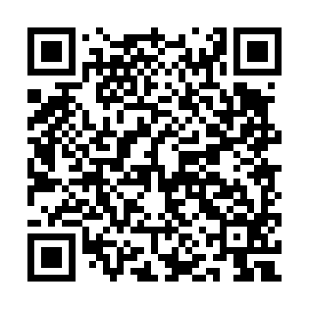 QR code for ANP496
