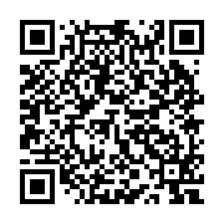 QR code for APA295