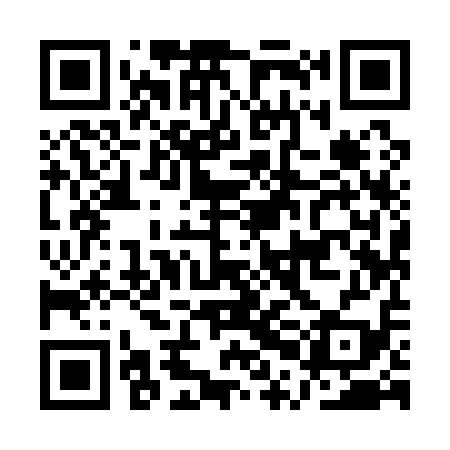 QR code for API119