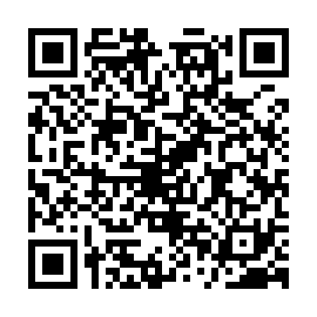 QR code for API9313