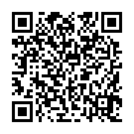 QR code for ARY384