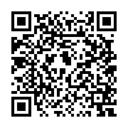 QR code for ASS0446