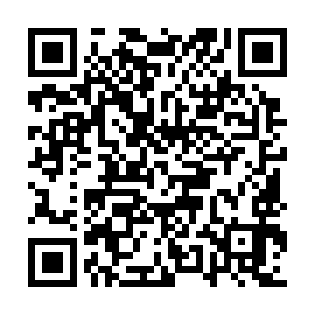 QR code for AUM393