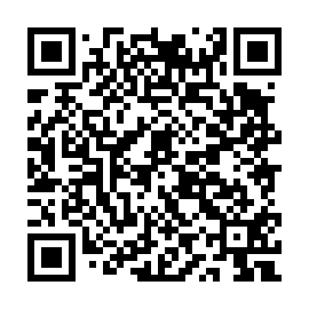 QR code for AYX411