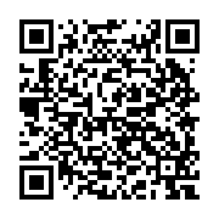 QR code for BAM293