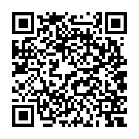 QR code for BFF6667
