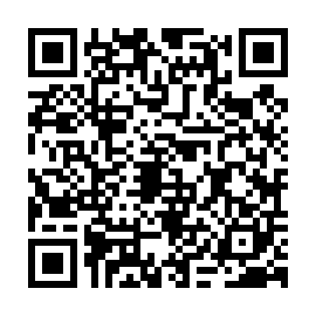 QR code for BIJ4007