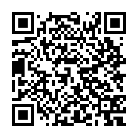 QR code for BIM334