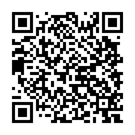 QR code for BIN013