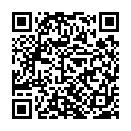 QR code for BIN713
