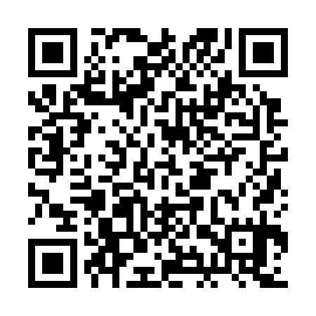 QR code for BIZ335