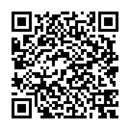 QR code for BNM4381