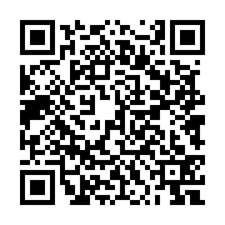 QR code for BXD5339